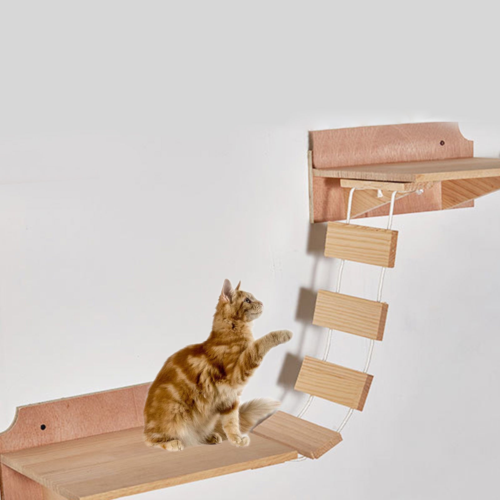 Cat Bridge / Climbing Frame / Wall Mounted
